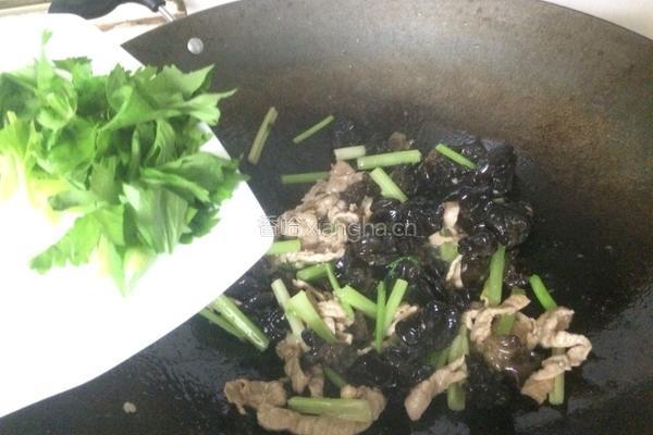 芹菜木耳炒肉的做法图解10
