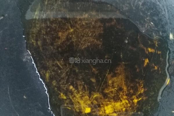 红烧猪肉的做法图解3