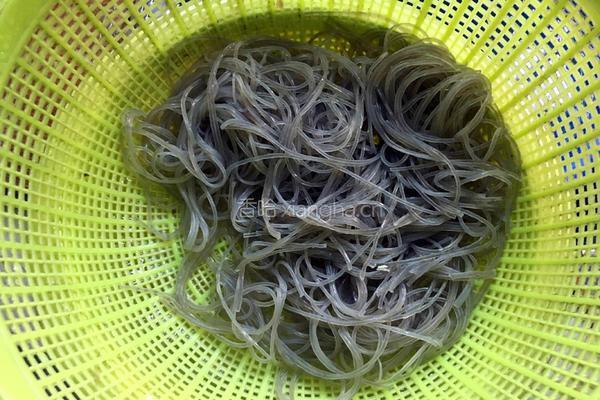 包菜粉条的做法图解5