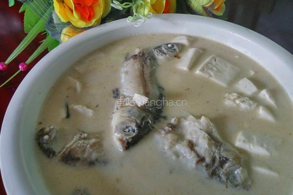 野生鲫鱼豆腐汤的做法图解8