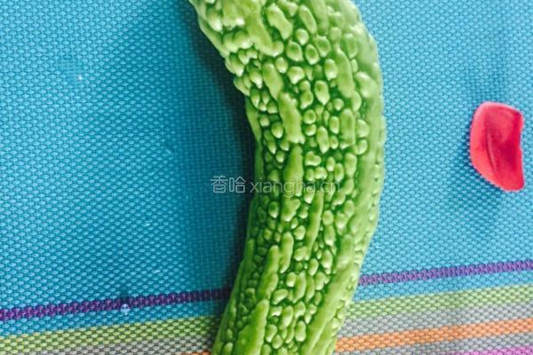 苦瓜鸡汤的做法图解2