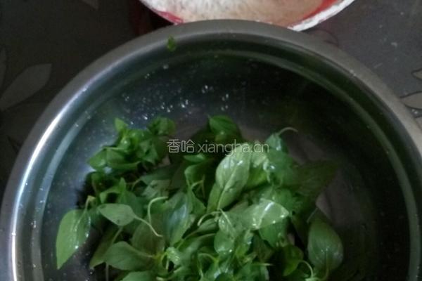 荆芥煎饼的做法图解2