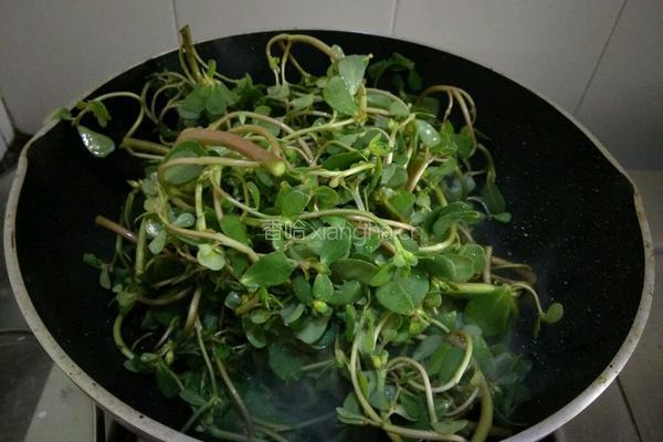 蒜茸马齿苋的做法图解5