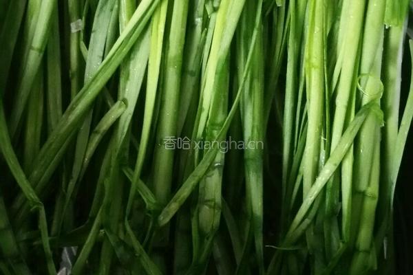 韭菜豆腐盒子的做法图解2