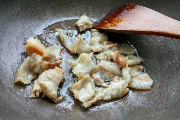 猪肉炖粉条的做法图解4