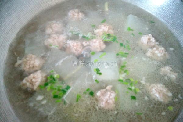 冬瓜瘦肉汤的做法图解8