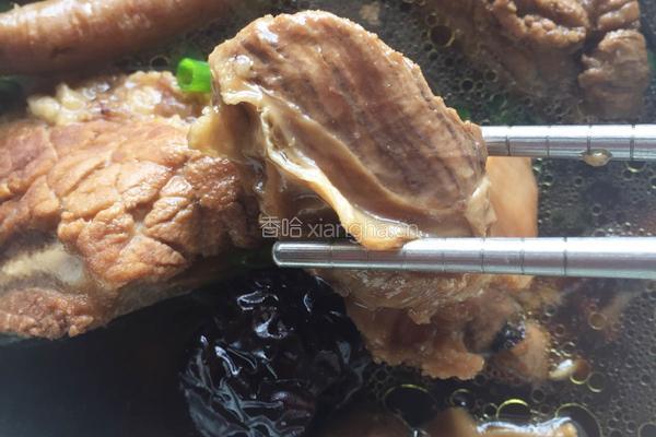肉骨茶的做法图解8