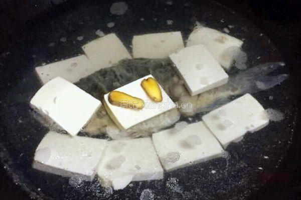 鱼炖豆腐的做法图解4