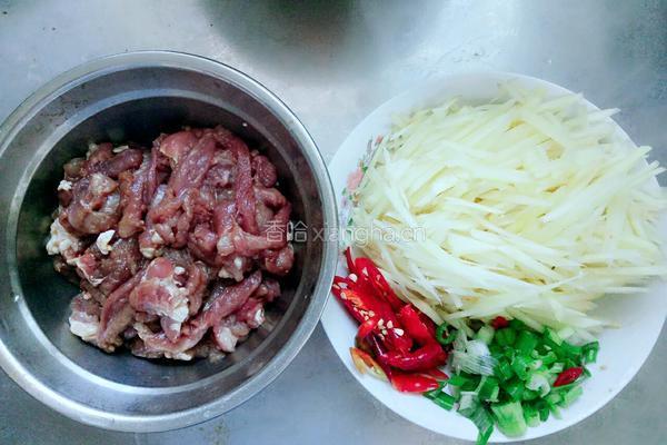 肉丝炒子姜的做法图解1