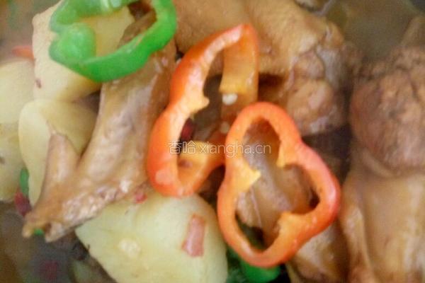 土豆炖鸡翅的做法图解6