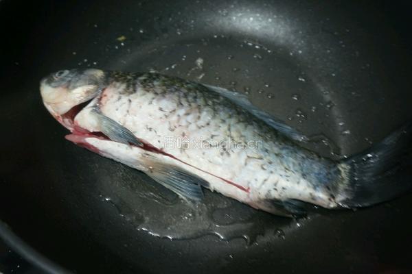 豆腐炖鱼的做法图解4