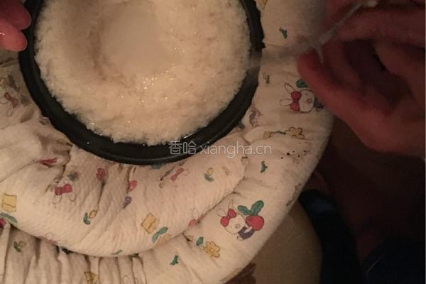 自制甜酒酿的做法图解4