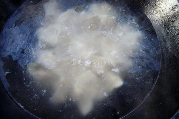胡萝卜豆腐饺子的做法图解10