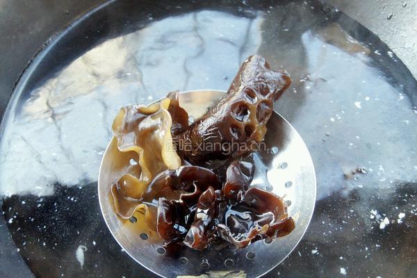西葫芦黑木耳馅儿饺子的做法图解4