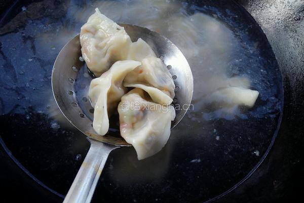 胡萝卜豆腐饺子的做法图解11