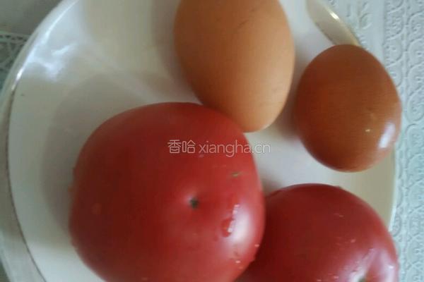 番茄炒蛋盖浇饭的做法图解1