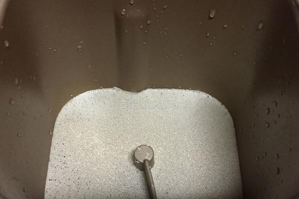 酸菜粉条肉包子的做法图解1