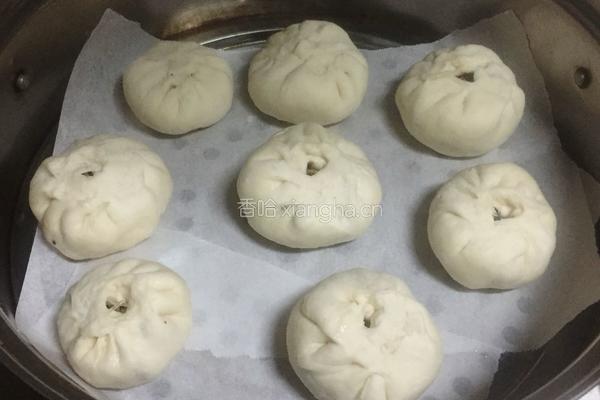 酸菜粉条肉包子的做法图解15