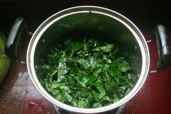 煮四季豆叶的做法图解4