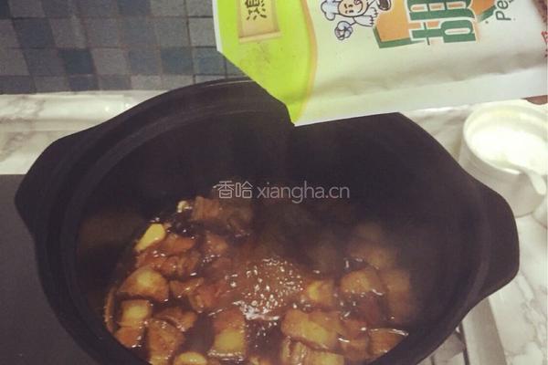 秘制红烧肉的做法图解7