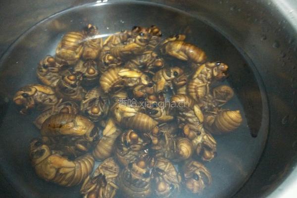 香酥金蝉的做法图解1