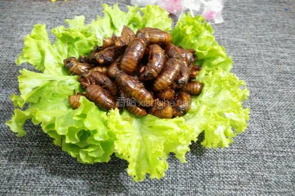 香酥金蝉的做法图解7