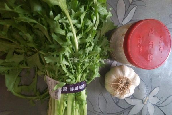 蒜汁麻酱拌苦菊的做法图解1