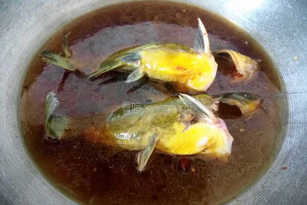 黄骨鱼红烧的做法图解6