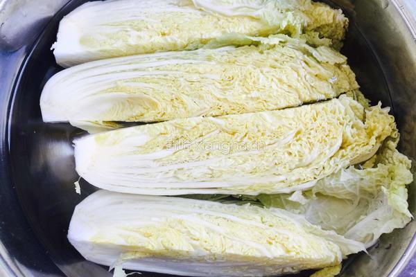 蚝油娃娃菜的做法图解3