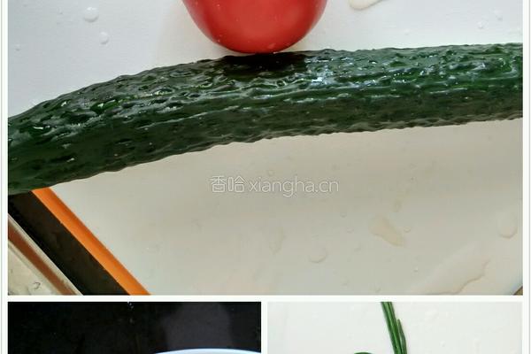 清炒黄瓜片的做法图解1