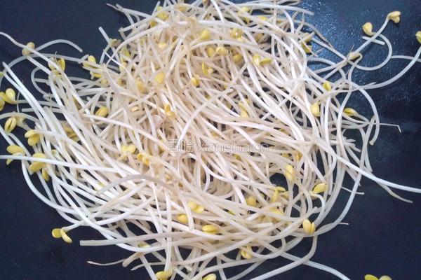 清炒黄豆芽的做法图解4