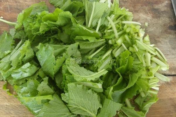 清炒小白菜的做法图解2