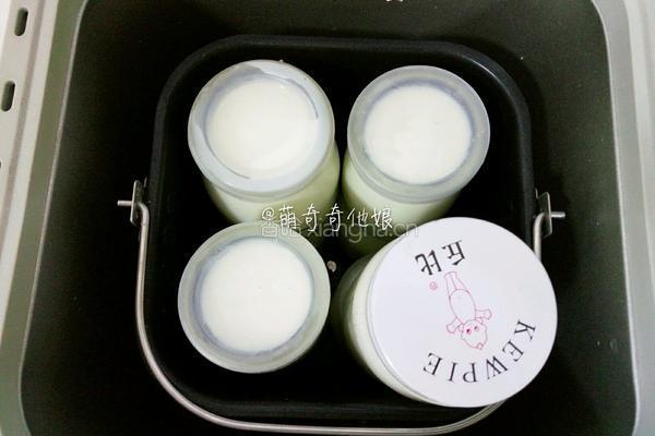 老酸奶的做法图解9