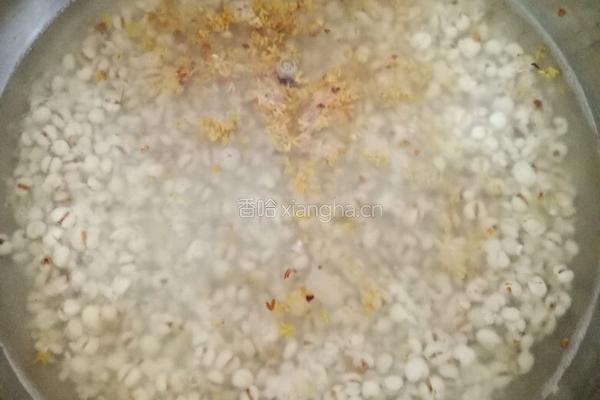 薏米水的做法图解5