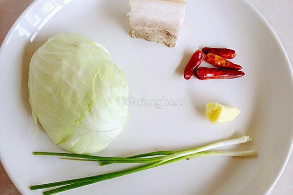 干锅手撕包菜的做法图解1