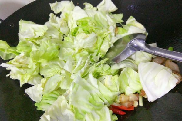 干锅包菜的做法图解5