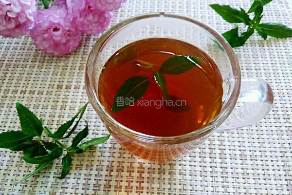 薄荷茶的做法图解5