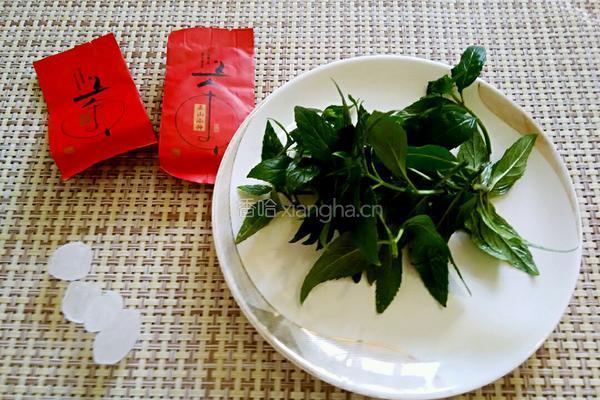 薄荷茶的做法图解1