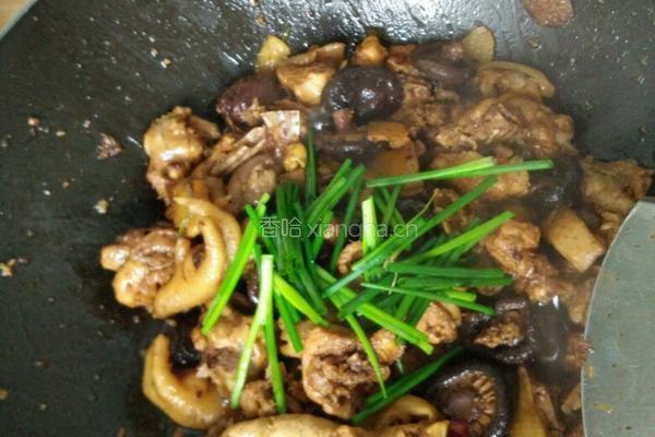 香菇炖鸡的做法图解7