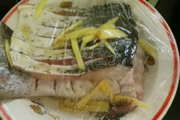 清蒸抱腌鱼的做法图解13