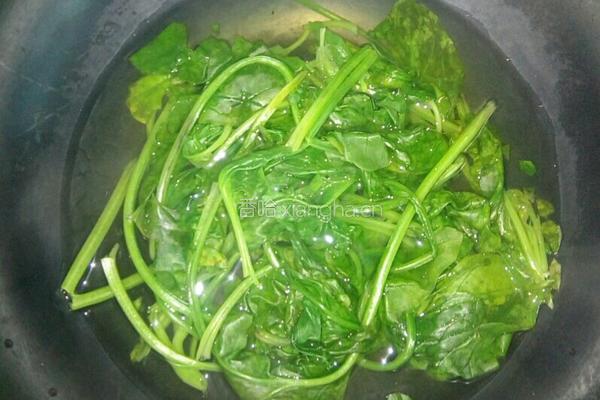 菠菜炒粉丝的做法图解2