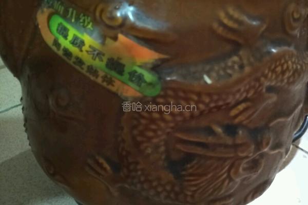 党参鸡汤的做法图解4