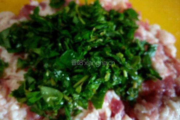 马齿苋饺子的做法图解4
