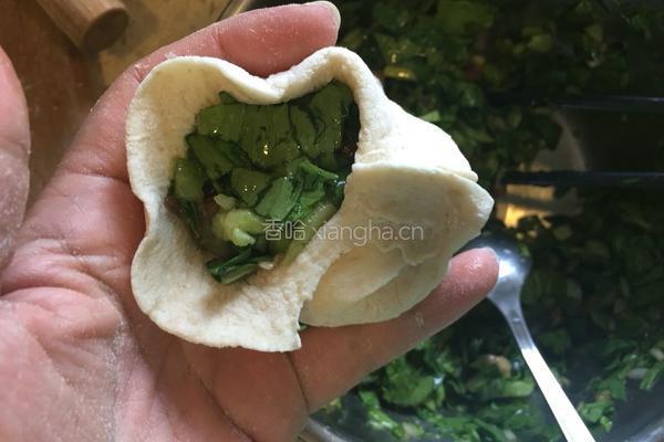 青菜大肉包的做法图解10