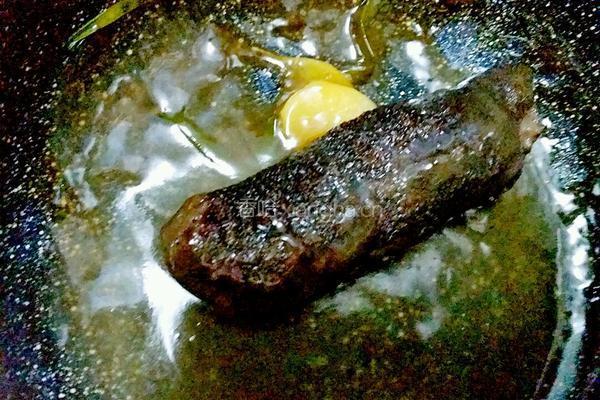 鲍汁海参的做法图解6