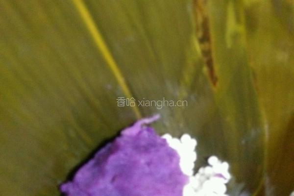 水晶粽子的做法图解8