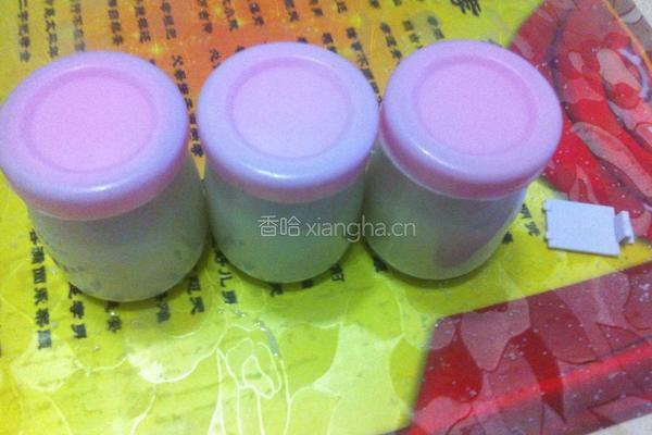 酸奶的做法图解4