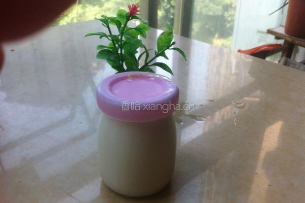 酸奶的做法图解6