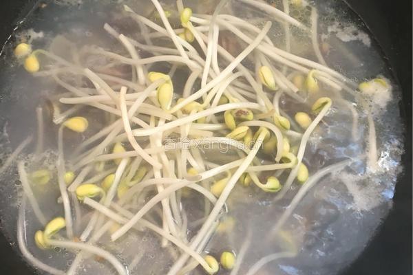黄豆芽炖粉条的做法图解5