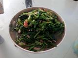 清炒萝卜叶的做法[图]